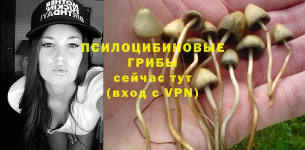 соль курить ск Зеленодольск