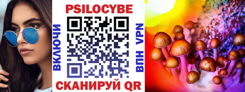 где продают   Находка  дарк нет телеграм  Псилоцибиновые грибы GOLDEN TEACHER 